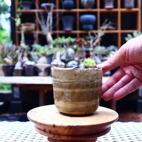 Mie  Maeda 〝swirl″   /   humanity pot       no.539