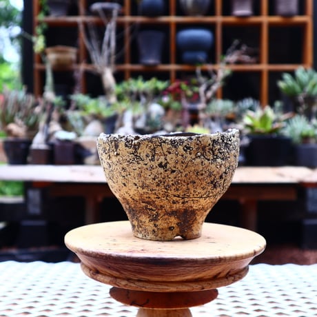 Kaori  Ono 〝 gaia″   /   humanity pot       no.526