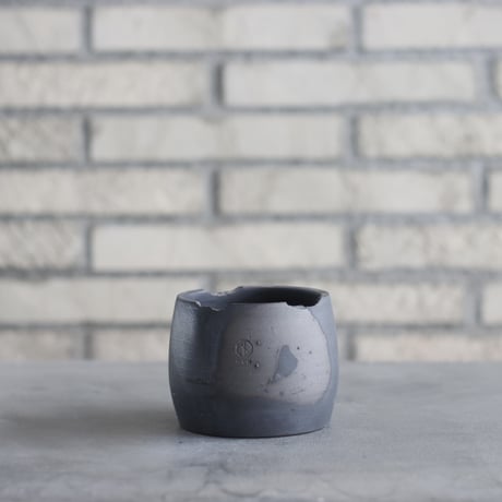 CATEGORY 3号鉢 | 芽の巣山