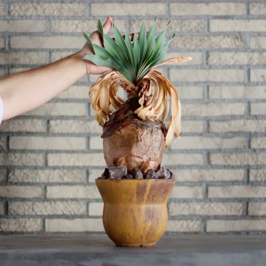 68d7a3c83ffe3e0595a97460