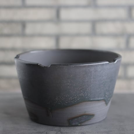 CATEGORY 大鉢 | 芽の巣山