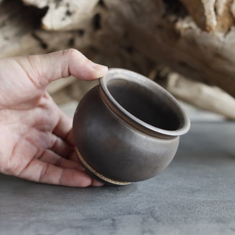 TAKERO POT / Tsubo / Tetsu  (2.5号)   no.525-39