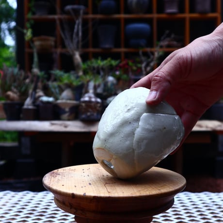 Mie  Maeda 〝blanco″   /   humanity pot       no.535
