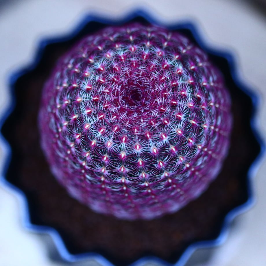 61c74ff47398916df9eb4453