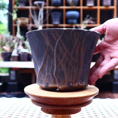 Kaori  Ono 〝 blonzo″   /   humanity pot       no.524