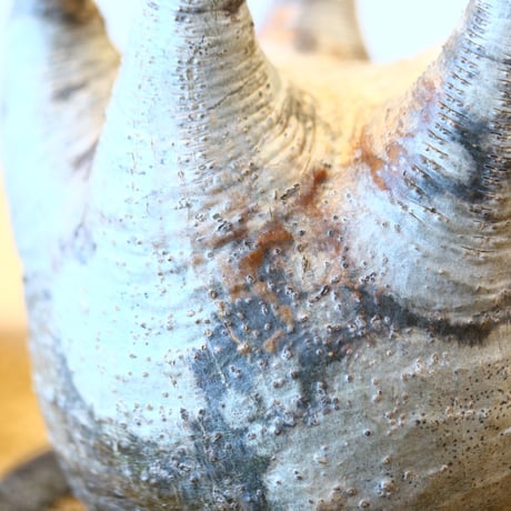 たけろうポット × Pachypodium  gracilius   no.72367