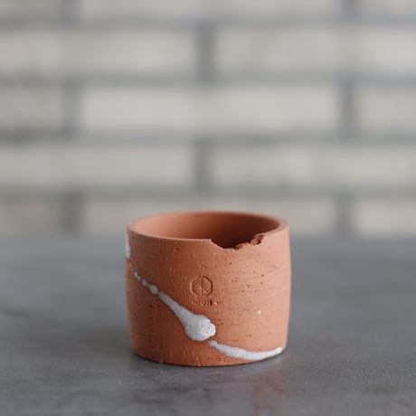 CATEGORY 2025/11/9 20:00~ | 芽の巣山