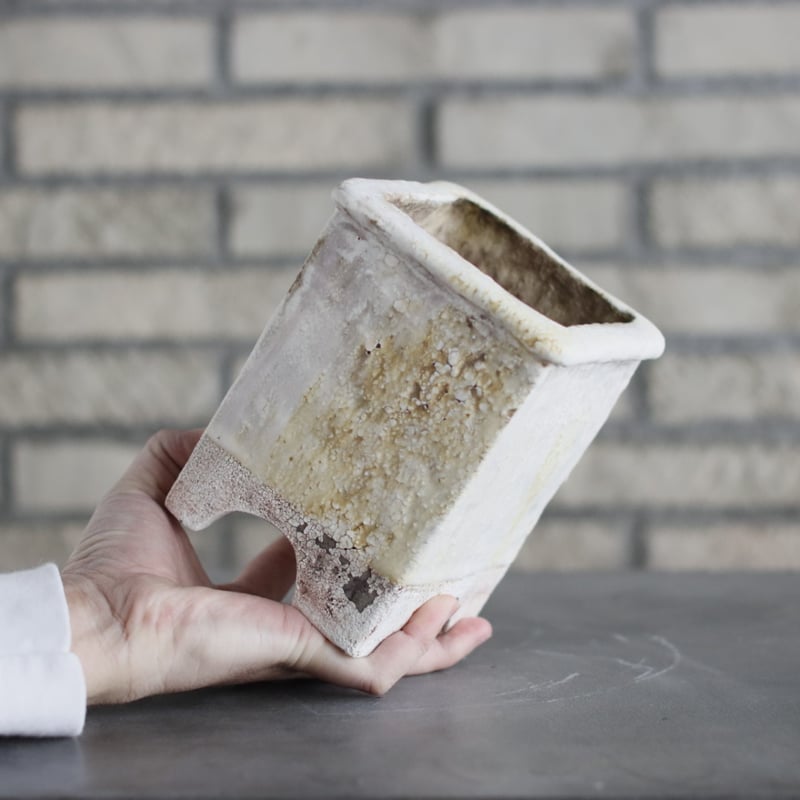 Shin Tabata / PLANETX (4号) no.301-31 | 芽の巣山