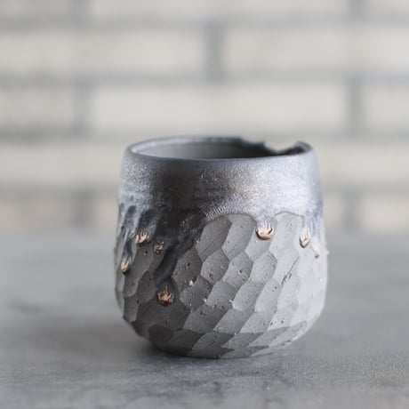 CATEGORY N/OH | 芽の巣山