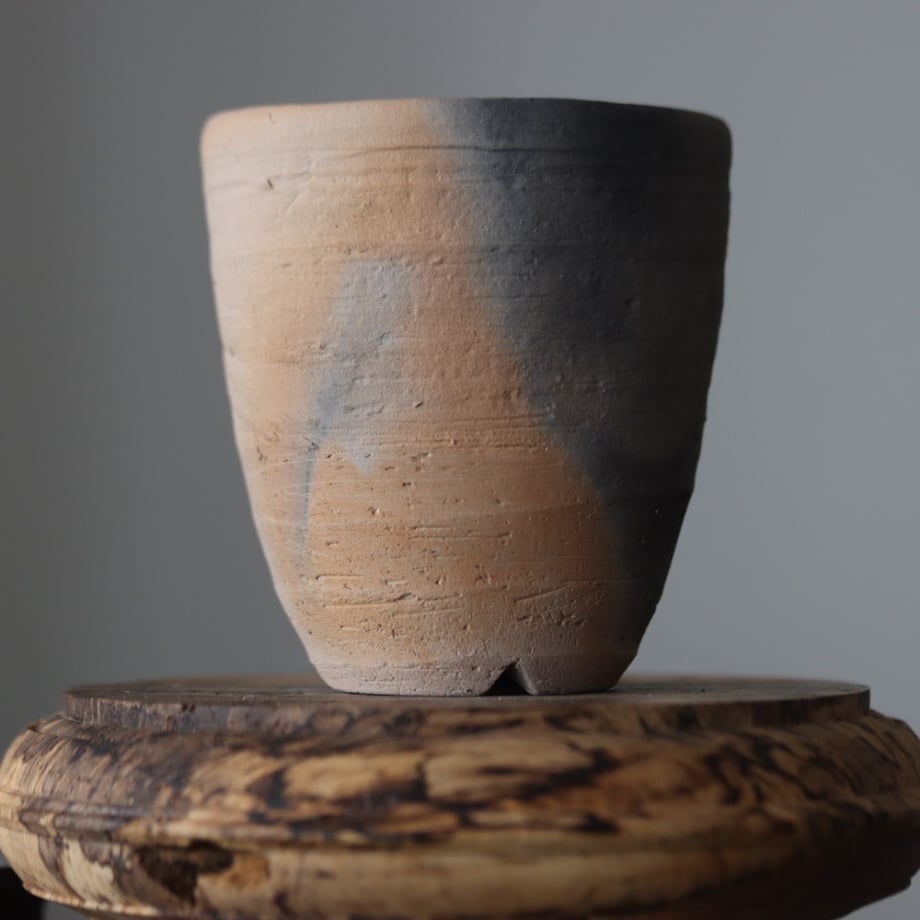 664dad04e3848e003406ad00