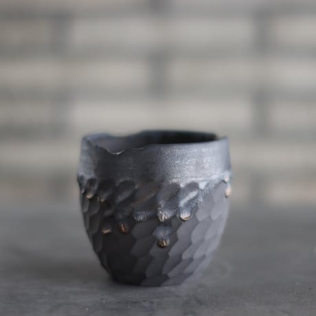 CATEGORY N/OH | 芽の巣山