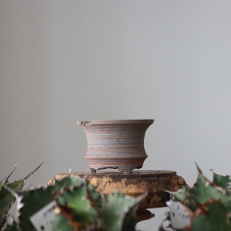 N/OH / MARBLE NOHBLE / M12 / XS    no.421-24