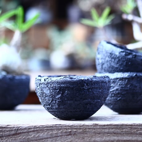 CATEGORY joint pot 安西 桂 × たけろう | 芽の巣山