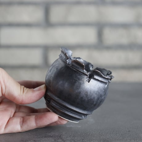 takero pot / mushikui / テツ (2.5号)  no.531-57