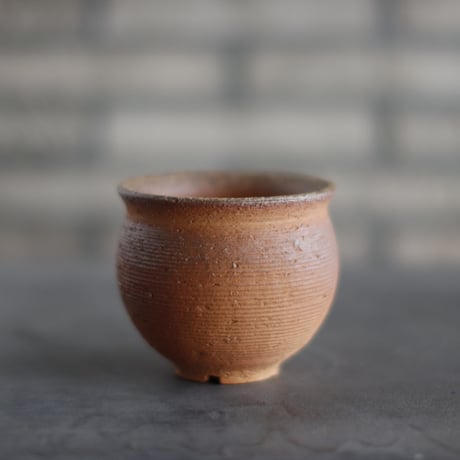 CATEGORY 5号鉢 | 芽の巣山