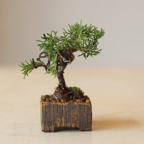 真柏 / YOSHIZAWA3-SHOHINBONSAI   no.223-21