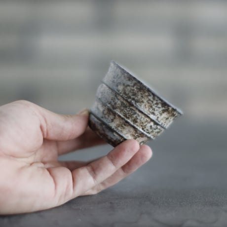 TAKERO POT / Shirosabi  (2.5号)   no.803-51