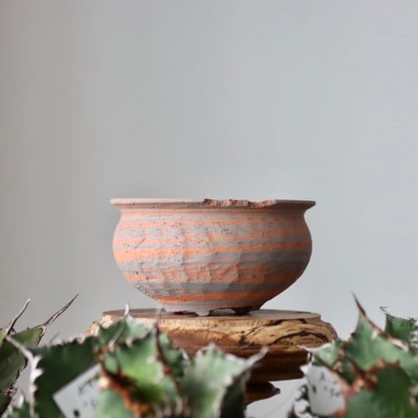 N/OH / MARBLE NOHBLE / コロ鉢 / SS   no.421-41