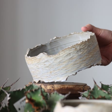 N/OH / MARBLE NOHBLE / コロ鉢 / S   no.421-97