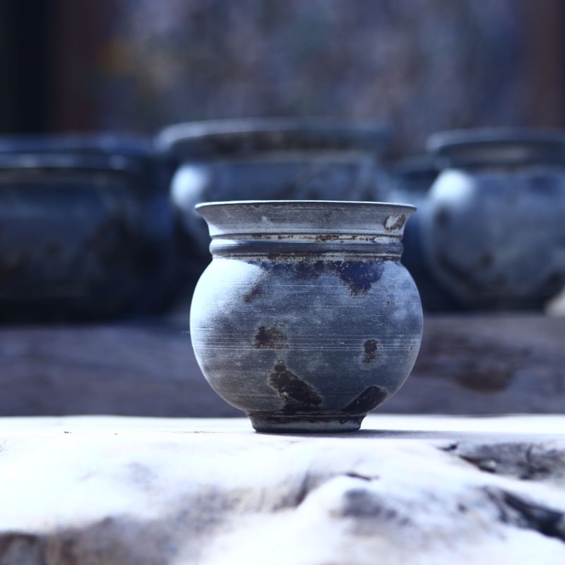 たけろうポット シロサビ ツボ SS no.221-S13 | 芽の巣山