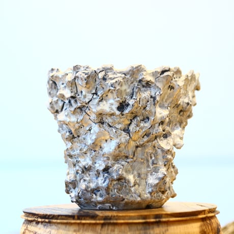 Yuta Uchida / silver rust monst / humanity pot    no.1231-81