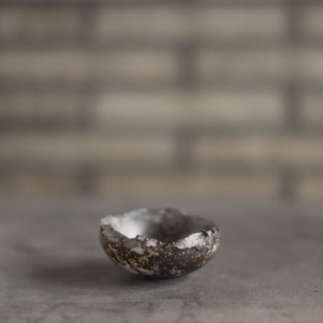 TAKERO POT / Chigiri / Shirosabi (浅鉢)/ マメ (2.5号) no.928-39