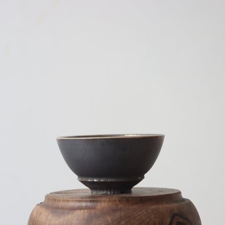 CATEGORY 2025/2/16 20:00~ | 芽の巣山