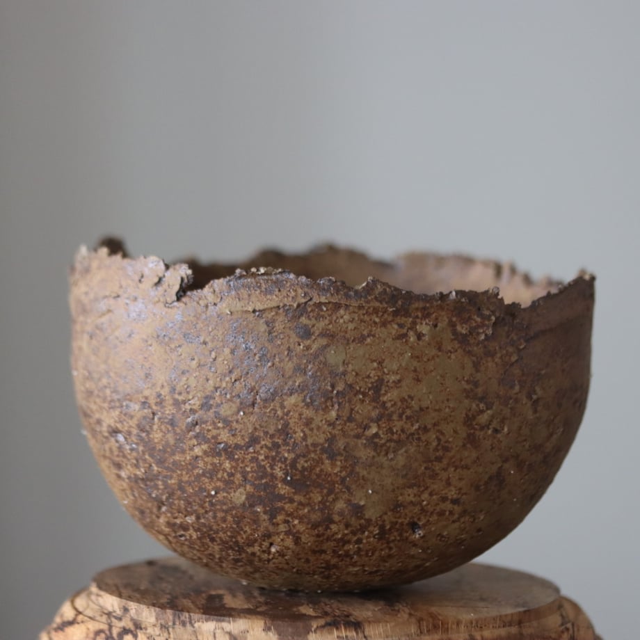 66f8292b57ef726100f07a32