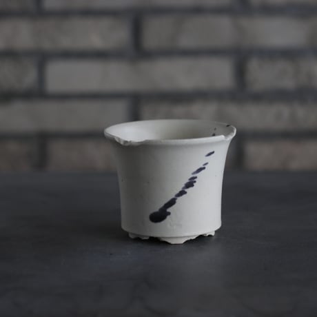 CATEGORY 陶器鉢 | 芽の巣山