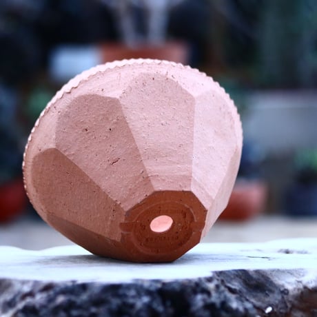 N/OH   INORI / S / Persimmon   no.1121/79