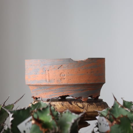 N/OH / MARBLE NOHBLE / M12 / S    no.421-13