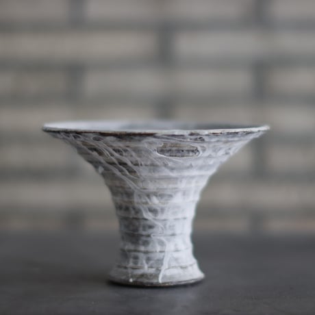 CATEGORY 6号鉢 | 芽の巣山