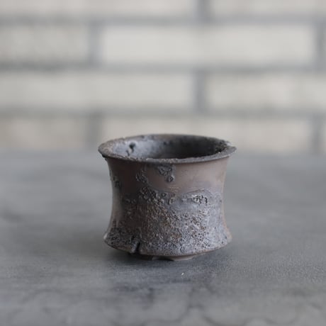 TAKERO POT / モミ / (2.5号) no.1116-75