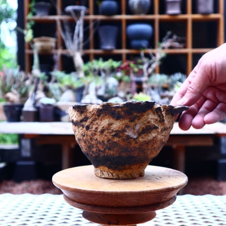 Ricca Okano 〝solaris″   /   humanity pot       no.563