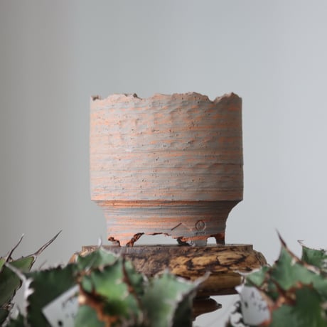 N/OH / MARBLE NOHBLE / M12 / S    no.421-12