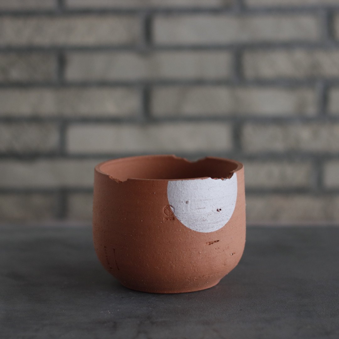 @mプロフ参照 ★2セット 限定】EX-NEXT LDT ブラックSP MINI-Z EVO2 レシーバーユニット付き