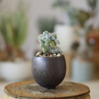 たけろうポット　チギリ　S たけろうポット チギリ ちぎり S 鉢 #1 2個セット たけろうポット たけろう