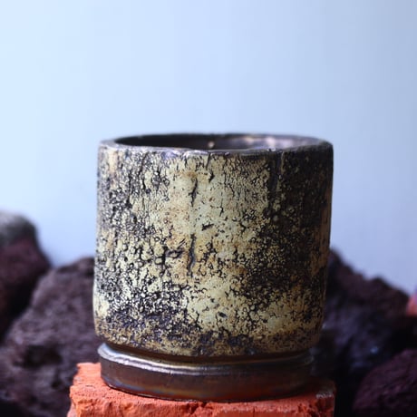 Kaori  Ono 〝gaia″   /   humanity pot       no.42510