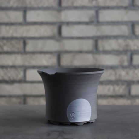 CATEGORY 5号鉢 | 芽の巣山