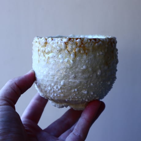 HAKASEPOT   SHIROTSUBU  /  ivory     no.21604