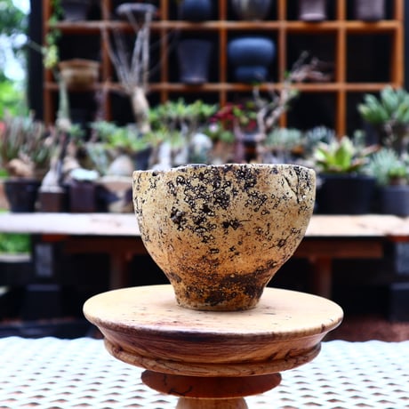 Kaori  Ono 〝 gaia″   /   humanity pot       no.527