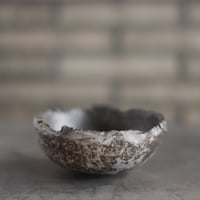 たけろうポット / シロサビ / マメ no.716-67 | 芽の巣山