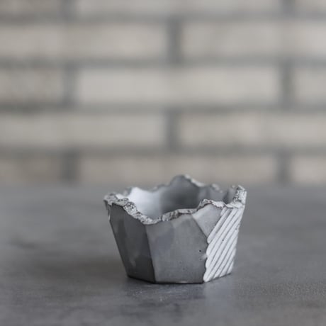 CATEGORY 3号鉢 | 芽の巣山