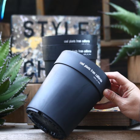 【Style of Chika】プラPOT 3個セット／Black／5号 〝cool plants from california”     no10377