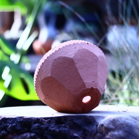 N/OH   INORI / SS / persimmon  no.123/16