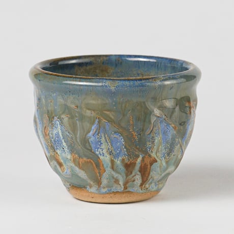 CATEGORY 2025/4/30 20:00~ | 芽の巣山