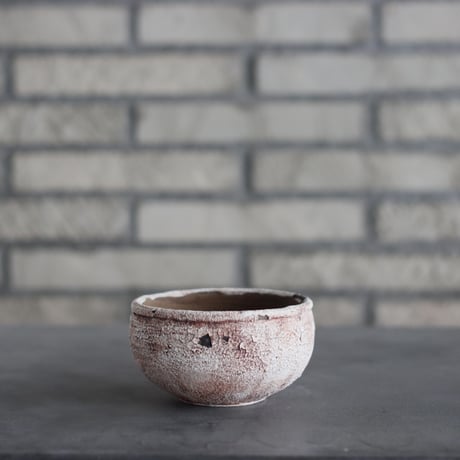 CATEGORY 陶器鉢 | 芽の巣山