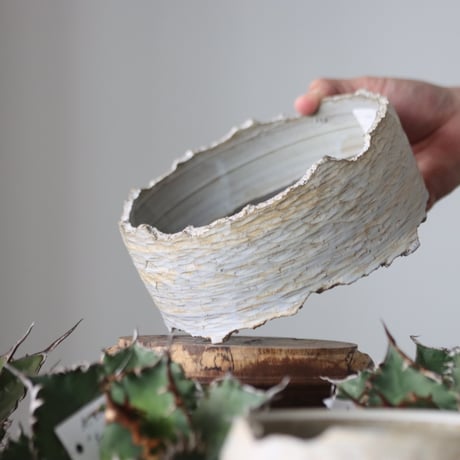 N/OH / MARBLE NOHBLE / コロ鉢 / S   no.421-97