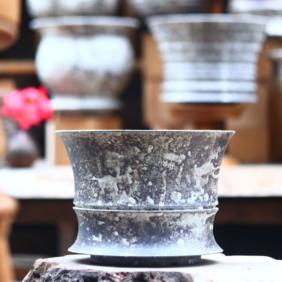 たけろうポット / 大鉢 / シロサビ たけろうポット / 大鉢 / シロサビ