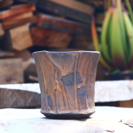 Kaori Ono〝bronzo″／humanity pot    no50861
